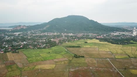 Aerial-view-paddy-field-at-Bukit-Mertajam.